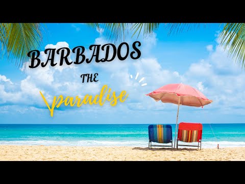 Barbados: The Caribbean Island You Need to Visit ASAP