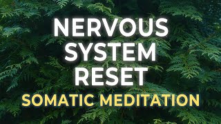 A Somatic Practice for Deep Nervous System Renewal