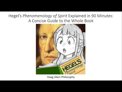 Hegel Phenomenology of Spirit Explained in 90 Minutes Chad Level Full Book Summary / Synopsis