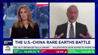 China views rare earths as a national treasure, says American Elements CEO Michael Silver