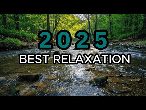 2025 Best Relaxation with Water Sounds and Forest View
