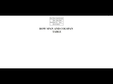 HTML ROWSPAN AND COLSPAN TABLE
