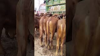 Business Farming2023