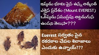 EVEREST samudram lo undi ante nammagalara??😳😳 ||Interesting facts about Himalayas and EVEREST||
