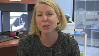 MobilityWorks: Bringing Proven Housing Mobility Opportunities to Low-Income Families