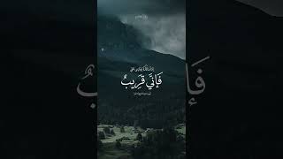 Quran #qurantilawat #qurantranslation #quranquotes #quran #Quran recitation