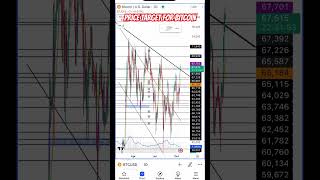 Bitcoin Bull Run: Last Chance to Buy?