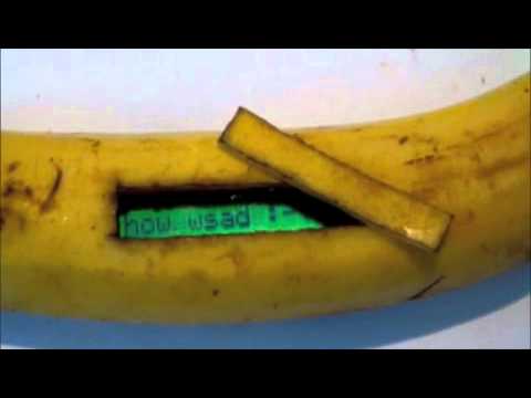 gps-banana