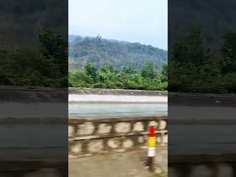 Chilla Dam #uttrakhand #travelling #chilla #chilladam #catales