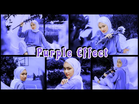 Snapseed Tutorial Purple Effect ll Foto Editing