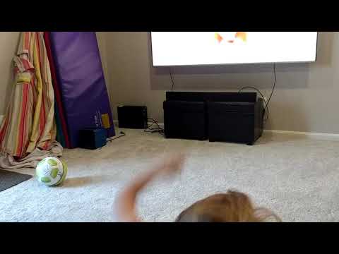 New tv