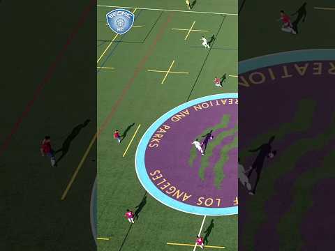 Another bird's eye Seismic counter attack goal! #futbol #soccer #sundayleague