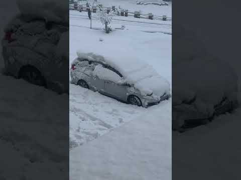 Srinagar ki barfbari #snowfall #snowfallinshimla #srinagar #firstsnowfall