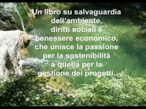 Paola Morgese - Manuale per progetti sostenibili - Sostenibilità globale e project management