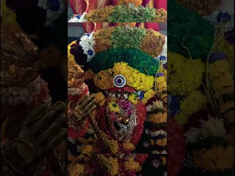 ಅಮ್ಮ🪷🪷🪷 #divinevibes #chowdeswaridevi #channasandra