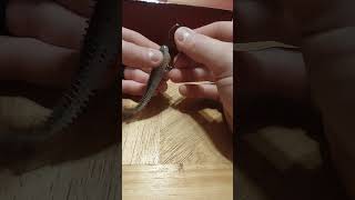 How To Rig An EWG Hook  |  Bass Fishing Tips
