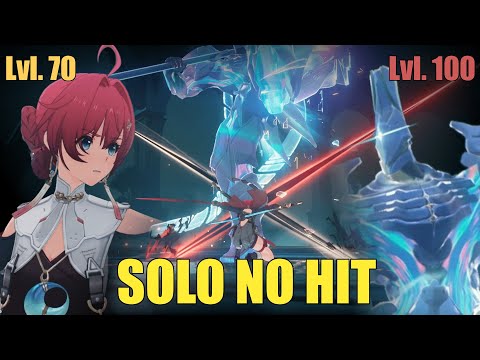 Lvl 70 Danjin | VI Fallacy Hologram | Wuthering Waves