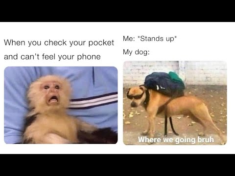 Funny memes That Will make you laugh 😂||#funnymemes #latestmemes#newmemes