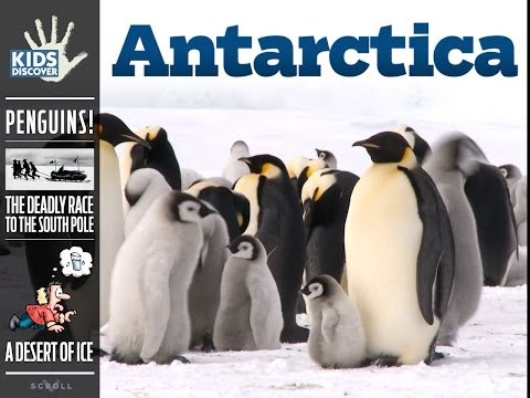 ANTARCTICA by Kids Discover (for iPad)