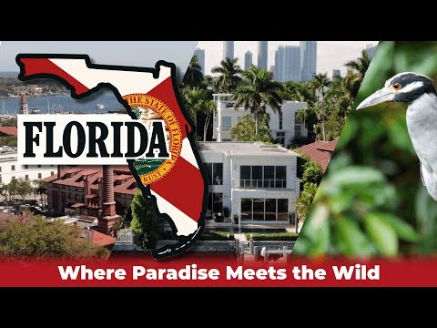 Florida: Where Paradise Meets the Wild | Mini Documentary