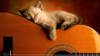 3 HOURS Relaxing Guitar Music  Instrumental Music, Calming Music, Soft Music, Sleep Music.