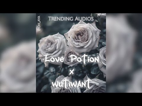 Love Potion X wutiwant (Trending Tiktok Audio) #1