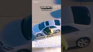 Real life GTA police chase