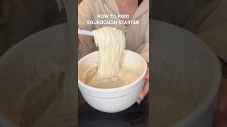 Easy Sourdough Starter Feeding Method (Beginner-Friendly!)