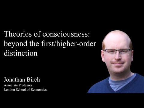 Theories of consciousness:Beyond the first/higher-order distinction by Jonathan Birch