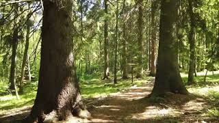 Will engineering manager lose confidence in a developer who does not speak up?