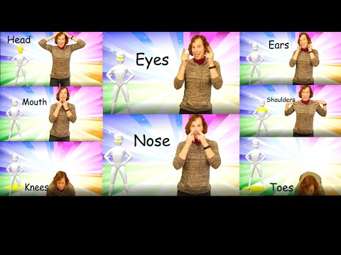 Head, Shoulder, Knees and Toes- Children's song
