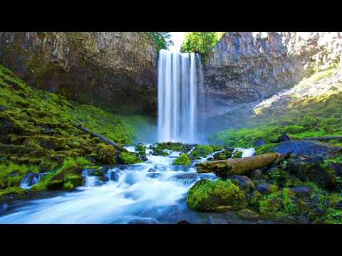 Mofeansy - 沫∙熹微