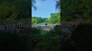 #ambient #background #centralpark #newyorkcity #nyc #studywithme #relax #study #studybackground