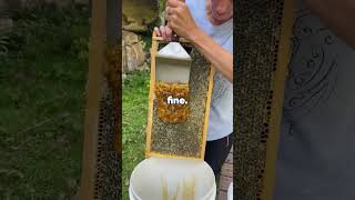 Why did my daughter scream every time I came home from work?