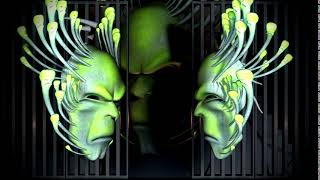 VJ LOOPS 2019
