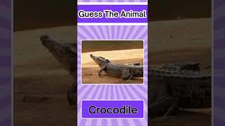 "Wild Wonders: Guess the Animals!" #GuessTheAnimal #WildlifeFun #AnimalLovers #quiz CanYouGuess