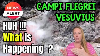 VESUVIUS doesn't quiet down ! Campi Flegrei and Vesuvius Earthquakes look STRANGE ! Time to WORRY ?