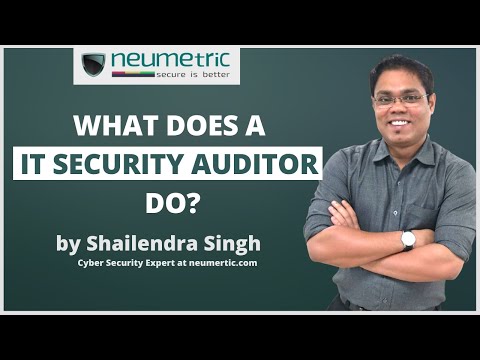 What does an IT security auditor exactly do
