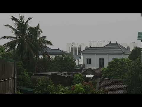 ⛈️⚡Rainfall on a Foggy Day