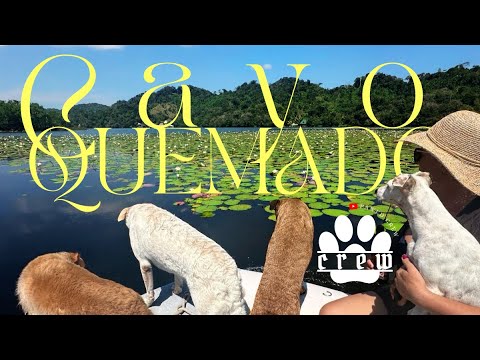 Boat Life (Vlog) Exploring Cayo Quemado with Our Rescue Dogs