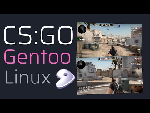 CS:GO Deathmatch on Gentoo Linux - Hyprland! | SA1G0N