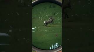 Dropping them like flies 🦃🐐🐐🐐🐐🔫 | theHunter: Call of the Wild