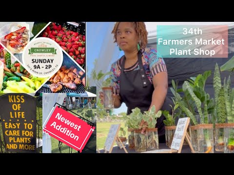 34th Farmers Market setup | Plant Shop Pop Up Vlog
