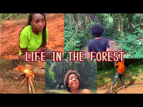 *UNI diaries #6* : Stuck in the Forest for my internship 🌳🌴||Part 1||Vlogmas ✨🌲#univlogs