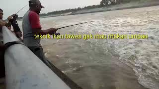 Mancing jaring di BENDUNGAN GERAK BOJONEGORO