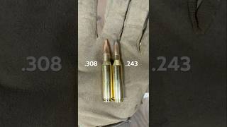 .308 vs .243 Win Size Comparison