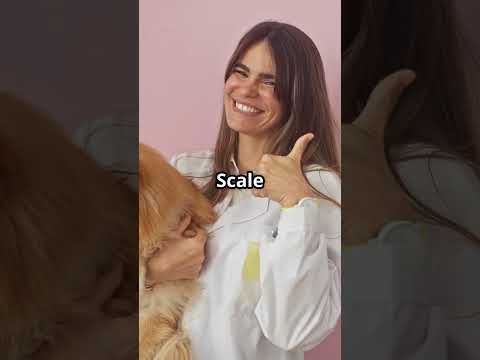 Turn Pet Photos into Art with AI and Make Money!