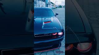 No.1 Car collection | #shorts #youtubeshorts
