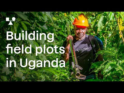 Building field plots in Uganda