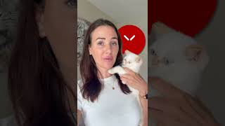 Best SMM Panel 2025? Why SMMGo Stands Out from the Rest!